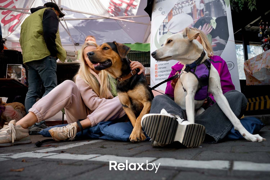 Акция пушистого добра, фото № 1