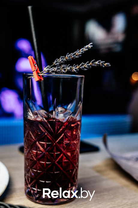 Terra Karaoke, фото № 23