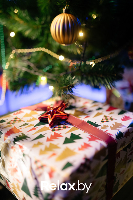 Terra Karaoke, фото № 42