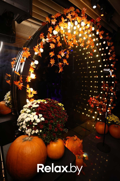 Terra Karaoke, фото № 3