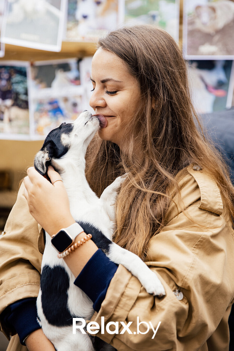 Благотворительная акция пушистого добра, фото № 31