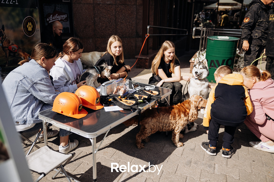 Акция Пушистого Добра, фото № 45