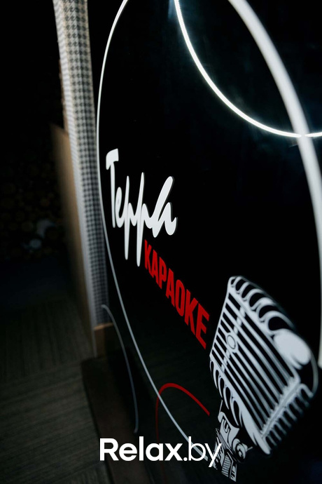 Терра Караоке, фото № 19