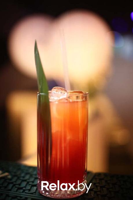 Terra party, фото № 61