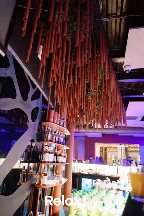 Ночные жители, фото № 88