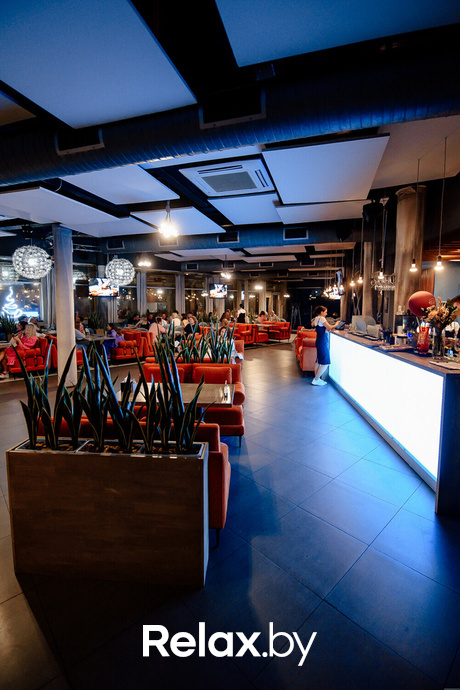 Terra Party, фото № 3