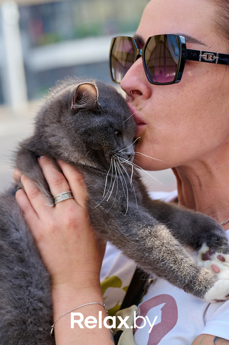 Акция пушистого добра, фото № 111