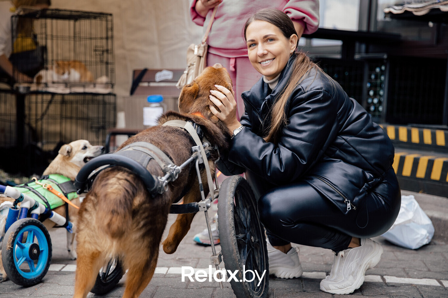 Благотворительная акция пушистого добра, фото № 13