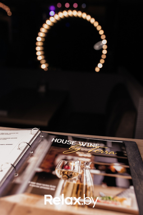 Terra Karaoke, фото № 4