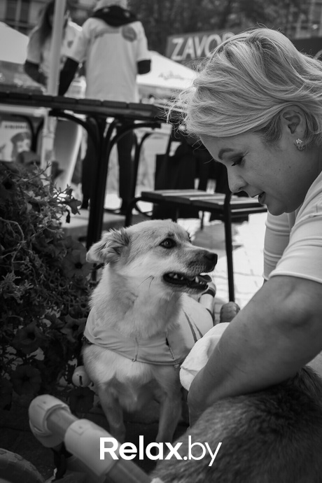 Акция Пушистого Добра, фото № 111