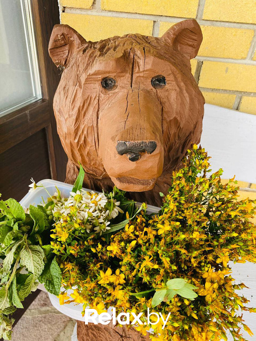 Купалье 2023, фото № 198