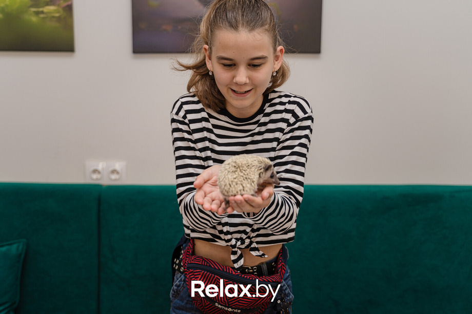 Открытие антикафе «Ёж кафе», фото № 25