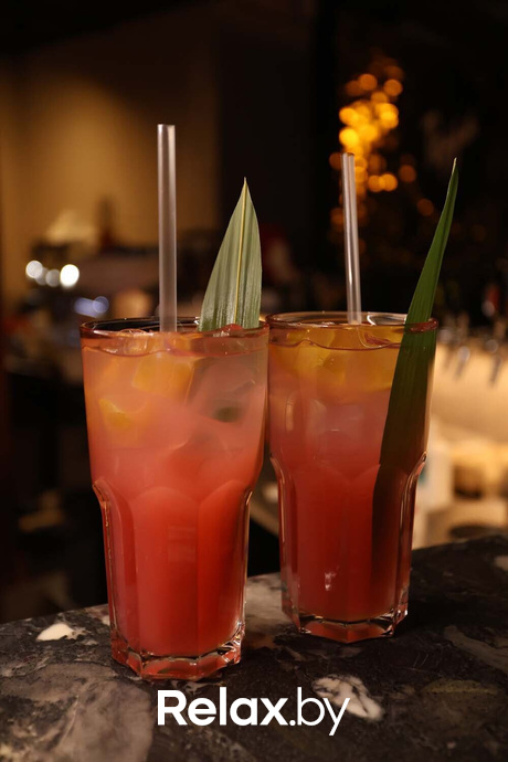 Terra party, фото № 105