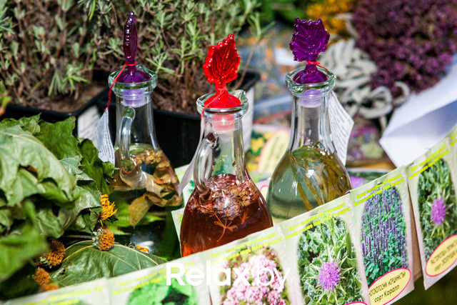 Благотворительный раут, фото № 266