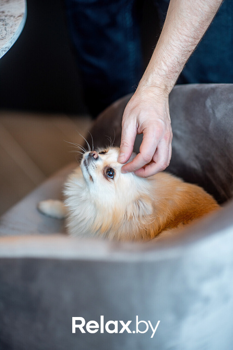 Открытие гастромаркета «Fishfood», фото № 100