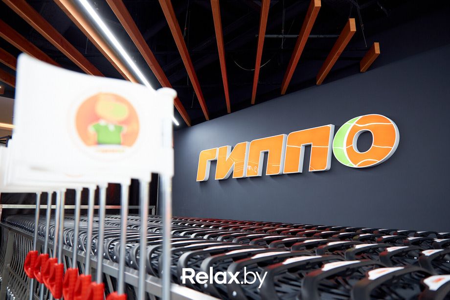 Открытие ГИППО, фото № 4