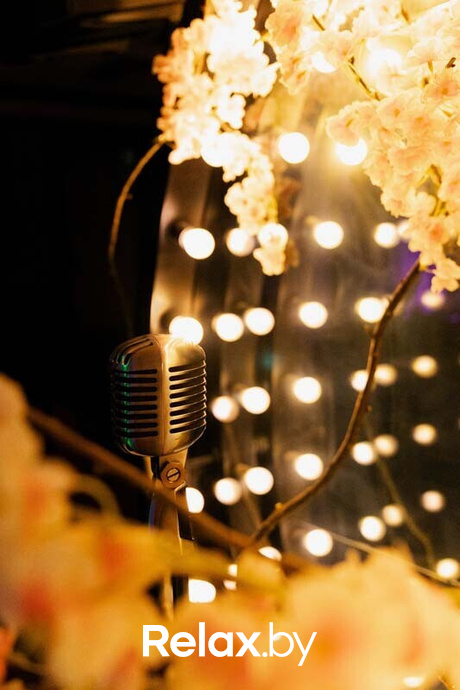 Терра Караоке, фото № 45