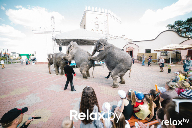 Лучшие фото за апрель, фото № 65