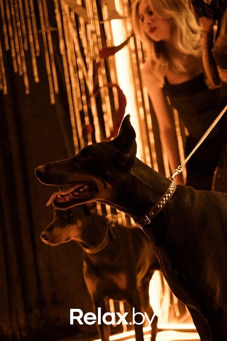 День рождения лаунж-ресторана NEFT, фото № 139