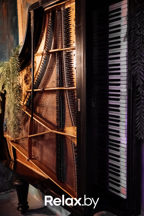 Live Music, фото № 43