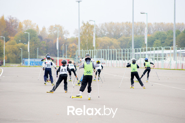 Золотая осень с Васильками, фото № 49
