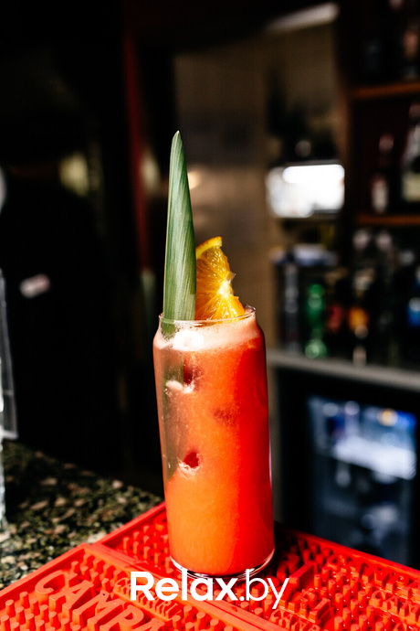 Terra Karaoke, фото № 30