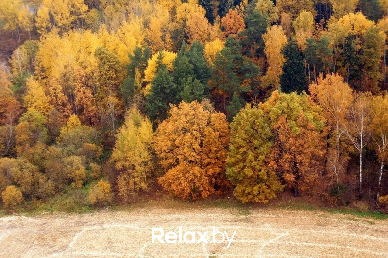 Воздушная прогулка relax.by, фото № 75