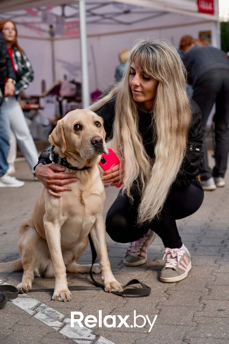 Акция пушистого добра, фото № 75