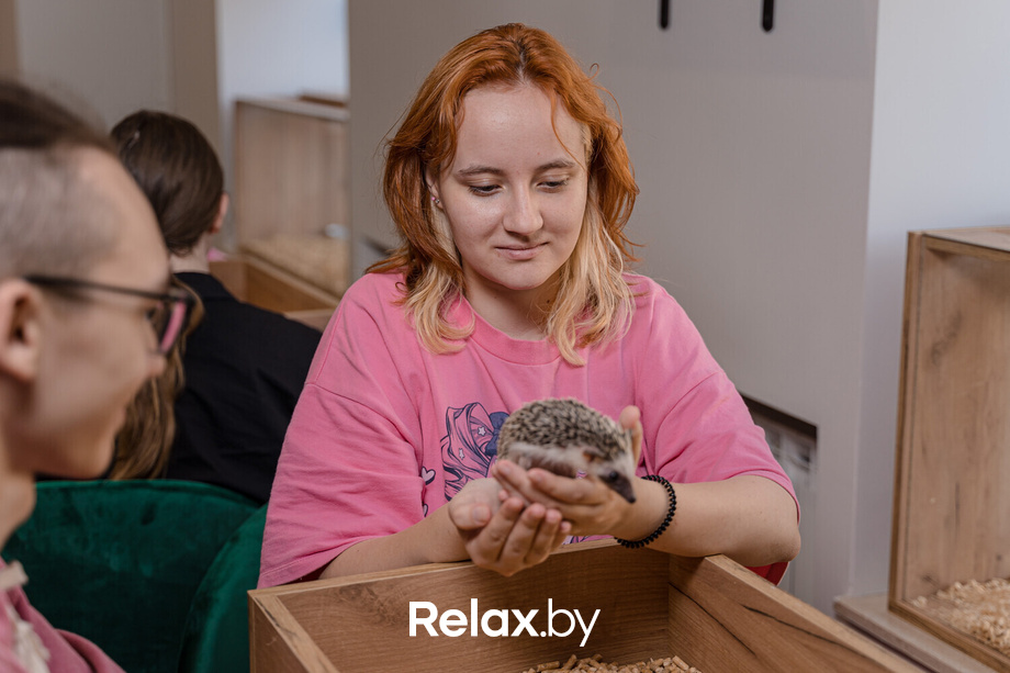 Открытие антикафе «Ёж кафе», фото № 5