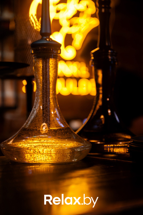 Monkey Brothers, фото № 25