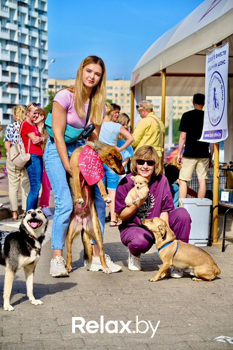 Акция пушистого добра, фото № 54