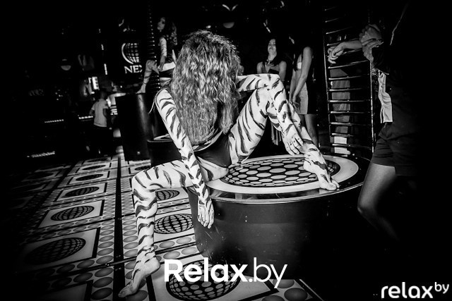 Next Club Show, фото № 34