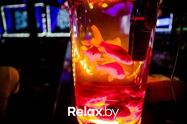 Вечеринка Crazy Songs, фото № 3