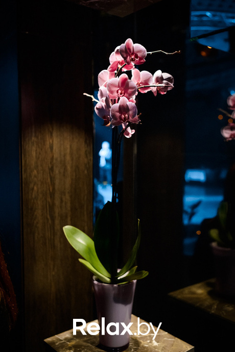 Вечерний IDOL, фото № 40