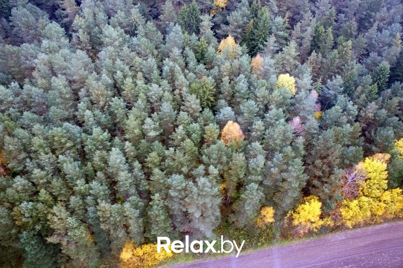 Воздушная прогулка relax.by, фото № 61