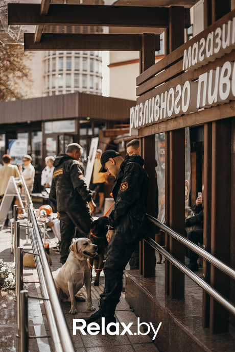 Акция Пушистого Добра, фото № 154