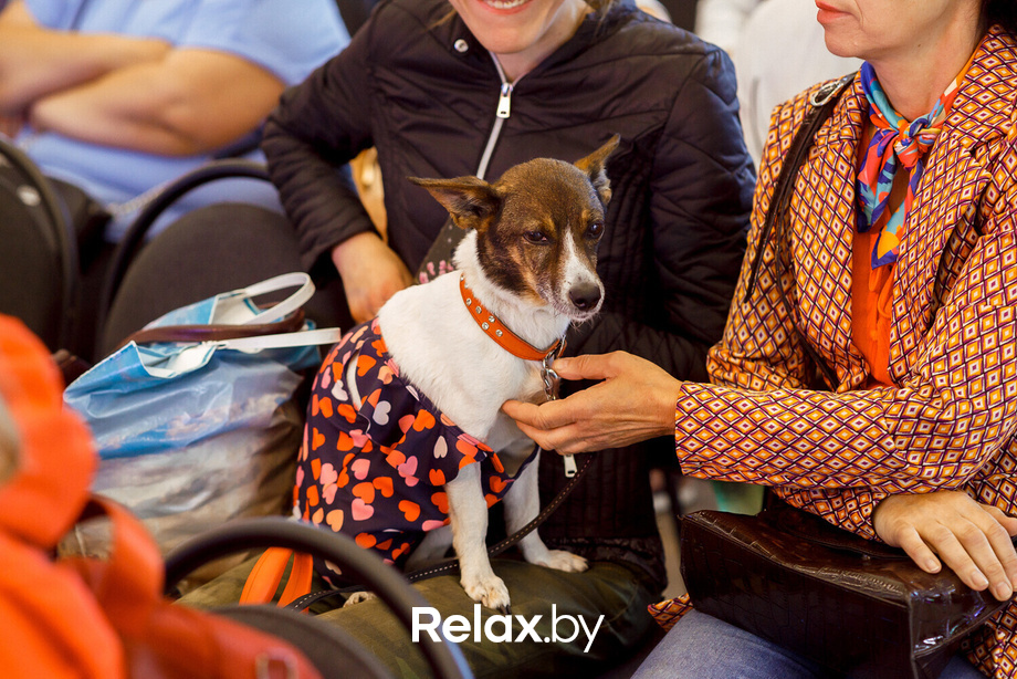 Шопинг Фест в ТРЦ Galleria Minsk, фото № 130