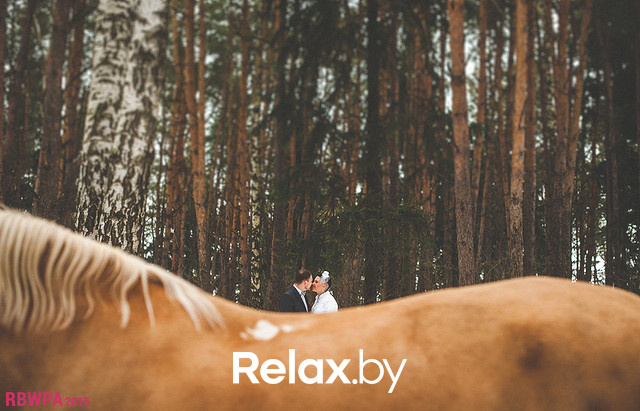 Конкурс профессиональной свадебной фотографии, фото № 18