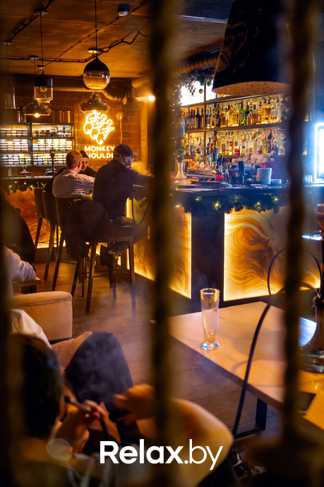 Monkey Brothers, фото № 19