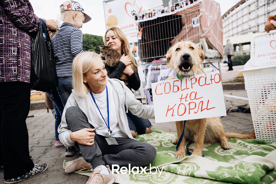 Акция Пушистого Добра, фото № 103