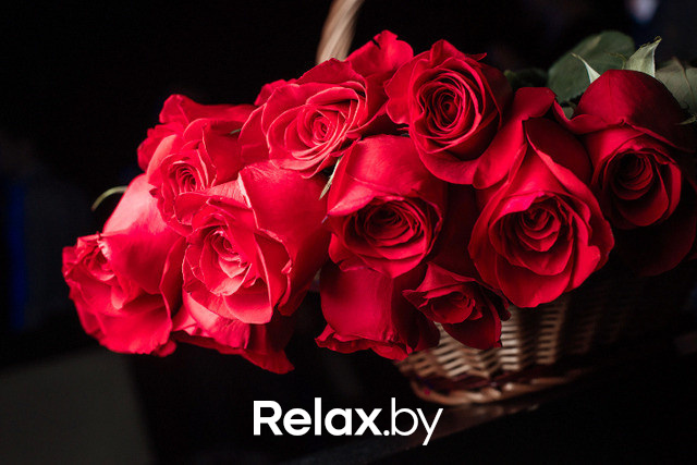 HARD ROCK SOFA, фото № 25