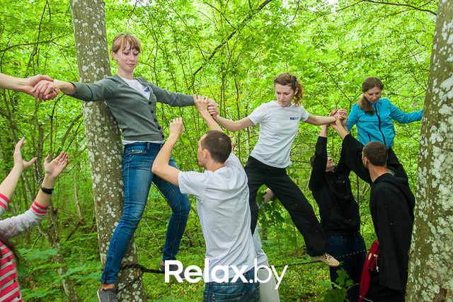 Тимбилдинг, фото № 30