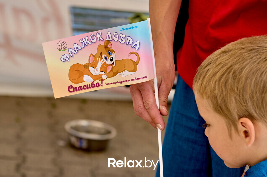 Акция пушистого добра, фото № 75