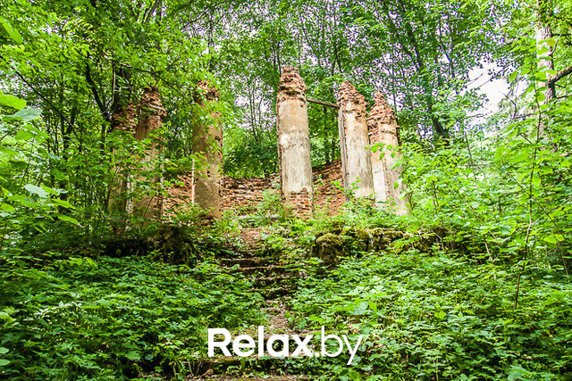 Тимбилдинг, фото № 35