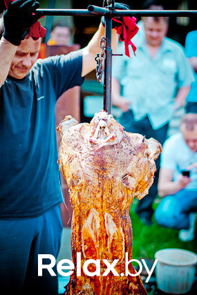 Экспедиция презентация Пикник-отеля, фото № 121