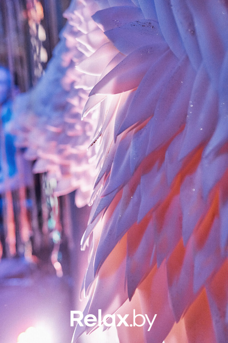 Saturday music, фото № 34