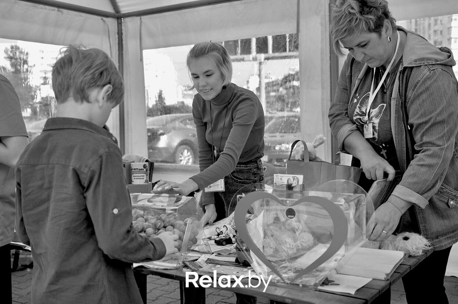 Акция пушистого добра, фото № 66