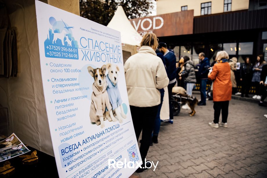 Благотворительная акция пушистого добра, фото № 25