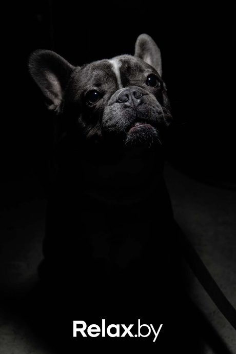 Astorio, фото № 24