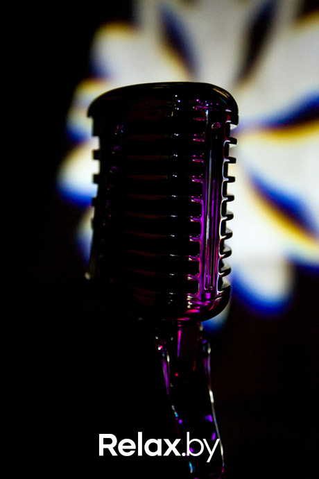 Ночь караоке, фото № 11